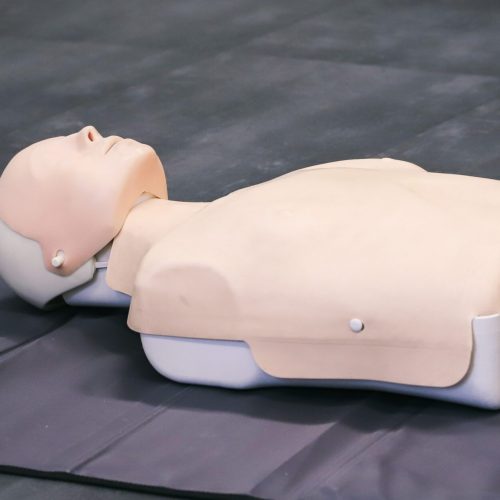 First,Aid,Training,Manikin.,First,Aid,Chiese
